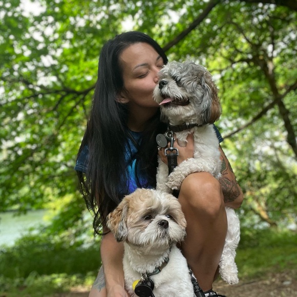 Meet your Posher, Clementines - Picture 6 of 14